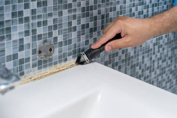 Best Mold Damage Repair  in Cutchogue, NY