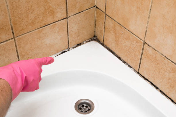 Best Office Mold Removal Services  in Cutchogue, NY